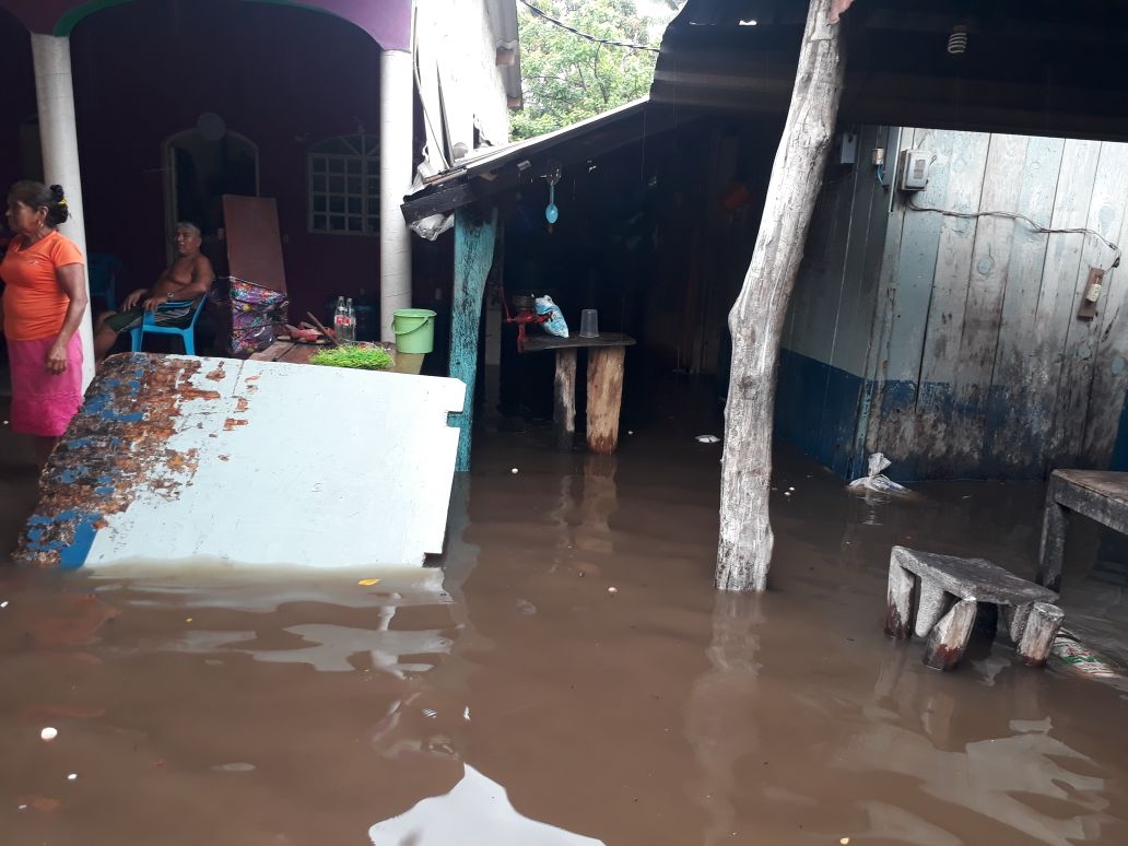 10 VIVIENDAS INUNDADAS, 21 ENRAMADAS DESTRUIDAS Y ÁRBOLES CAÍDOS EN COSTA GRANDE POR “BUD”