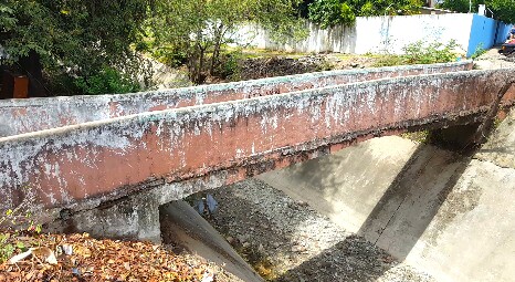 EN RUINAS PUENTE PEATONAL DE LA PAROTA