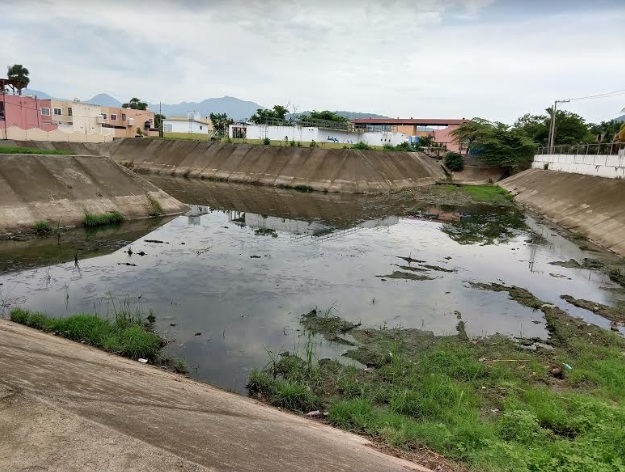 ALERTAN PRESENCIA DE COCODRILOS EN PLANTA TRATADORA DE FLAMINGOS 