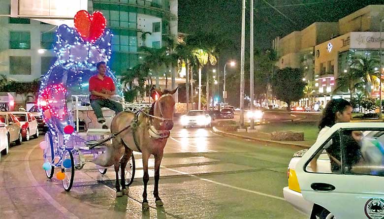 Calandrieros dicen sí a dejar de usar caballos y modernizarse