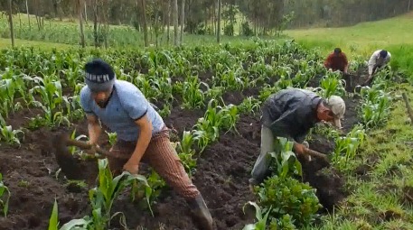 DESDE HACE DOS AÑOS 300 CAMPESINOS DE PETATLÁN NO RECIBEN “PROCAMPO”