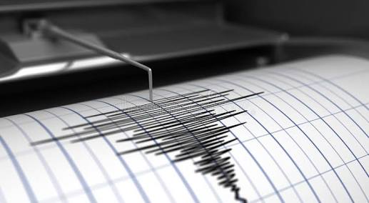 SISMO EN OAXACA SE SINTIÓ EN 4 REGIONES DE GUERRERO