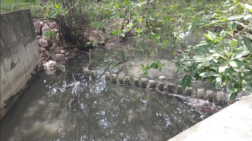 REPORTAN VERTIMIENTO DE AGUAS NEGRAS EN LAGUNA DE IXTAPA