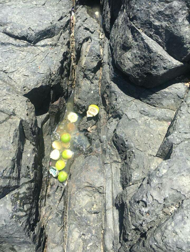 DENUNCIAN CONTAMINACIÓN DE PLAYA LA MAJAHUA