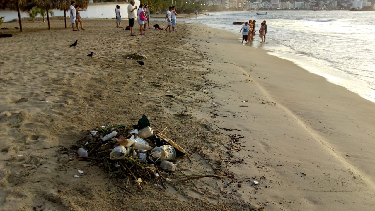 TRABAJADORES DE  PROMOTORA DE PLAYAS RECOGEN  20 TONELADAS DE BASURA