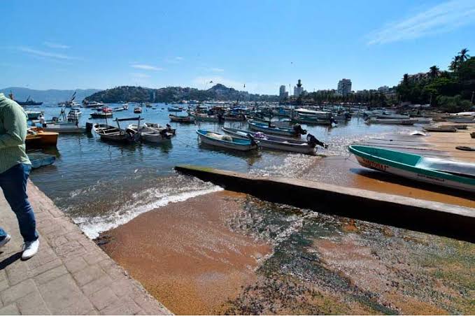 PROXIMO AÑO ESTARÁ LISTO PASEO DEL PESCADOR EN ACAPULCO