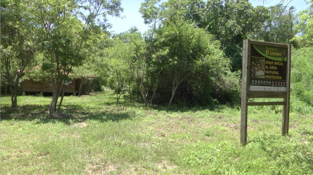 EXISTEN ÓRDENES DE APREHENSIÓN CONTRA INVASORES DEL PARQUE ESTATAL “EL LIMÓN” EXISTEN ÓRDENES DE APREHENSIÓN CONTRA INVASORES DEL PARQUE ESTATAL “EL LIMÓN”
