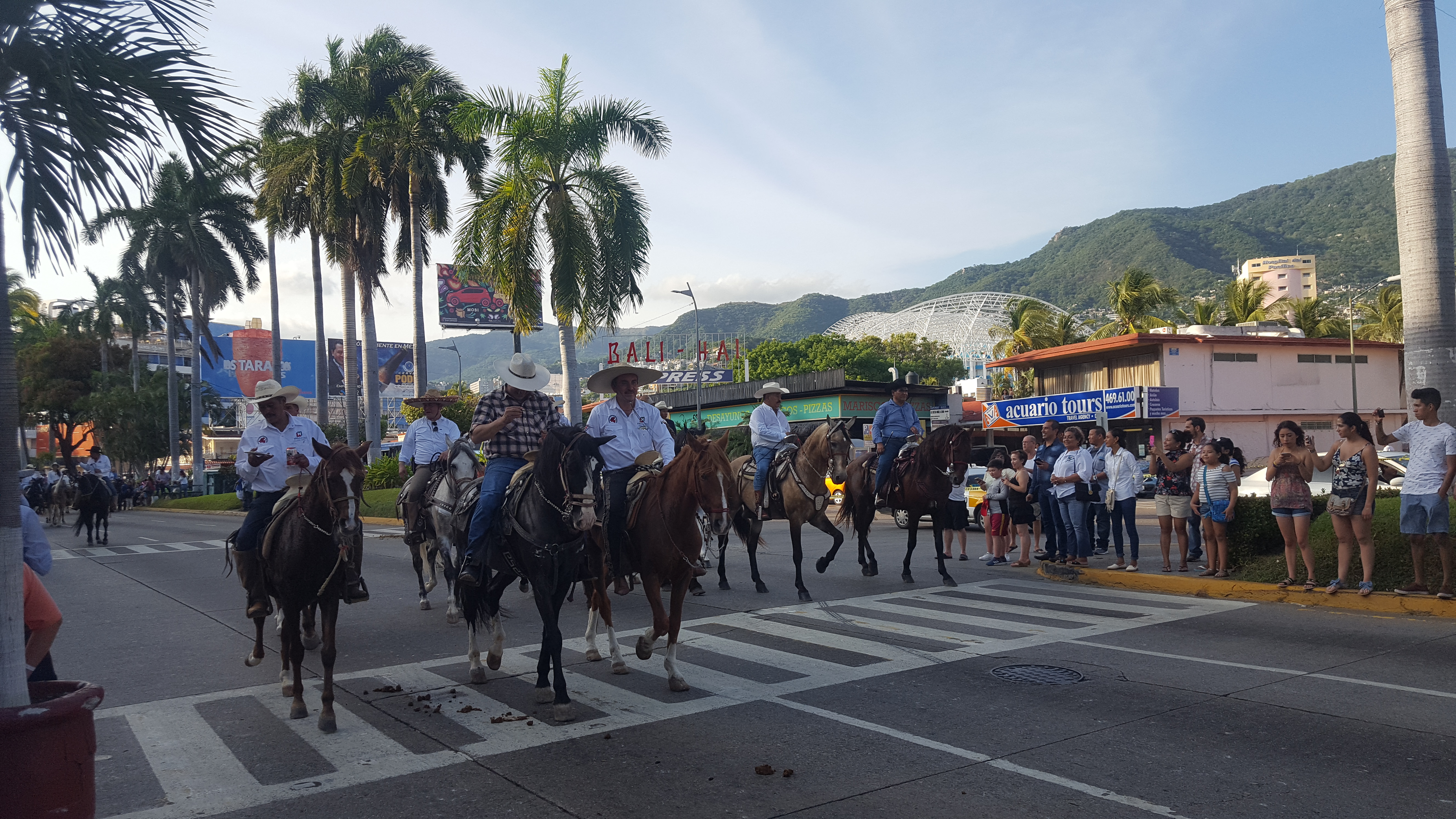 CABALLOS PURA SANGRE DESFILARON POR COSTERA DE ACAPULCO