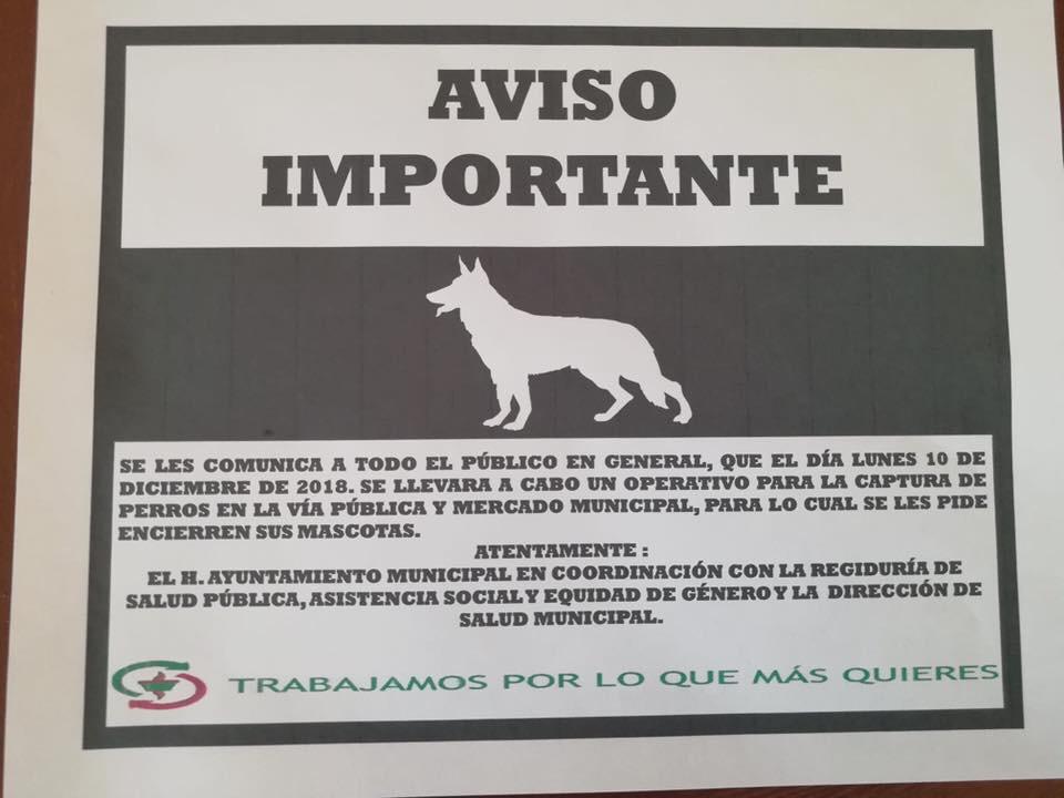 SE NOTIFICÓ AL AYUNTAMIENTO DE HUITZUCO PARA QUE NO SACRIFIQUE A PERROS CALLEJEROS 