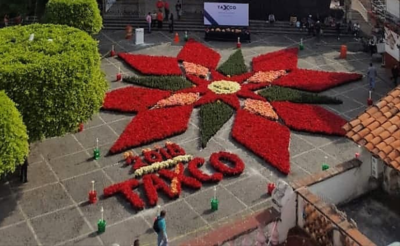 TAPETE DE NOCHEBUENA ADORNAN ZÓCALO DE TAXCO