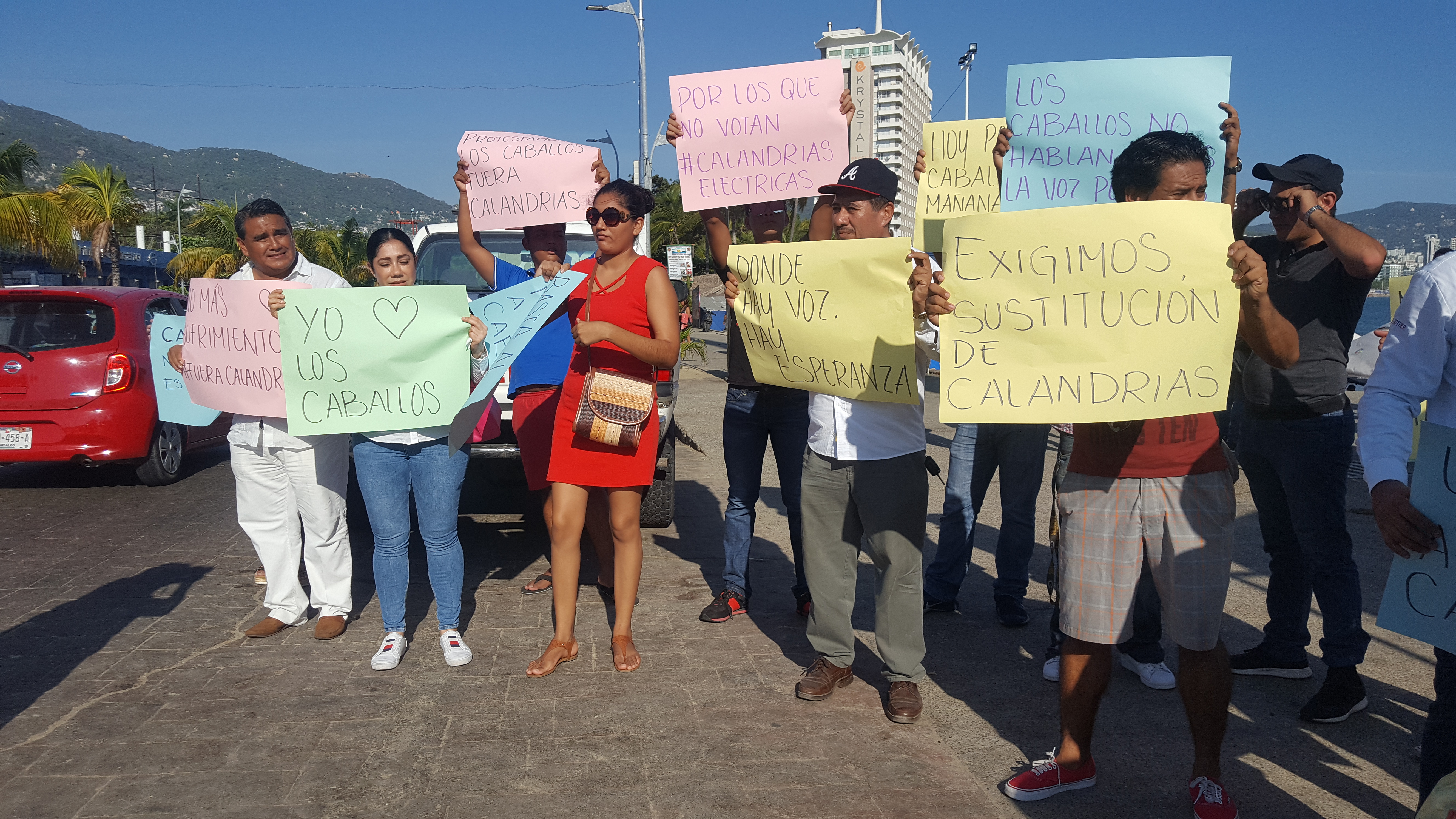 CIUDADANOS DENUNCIAN MALTRATO DE CABALLOS QUE ARRASTRAN CALANDRIAS EN ACAPULCO