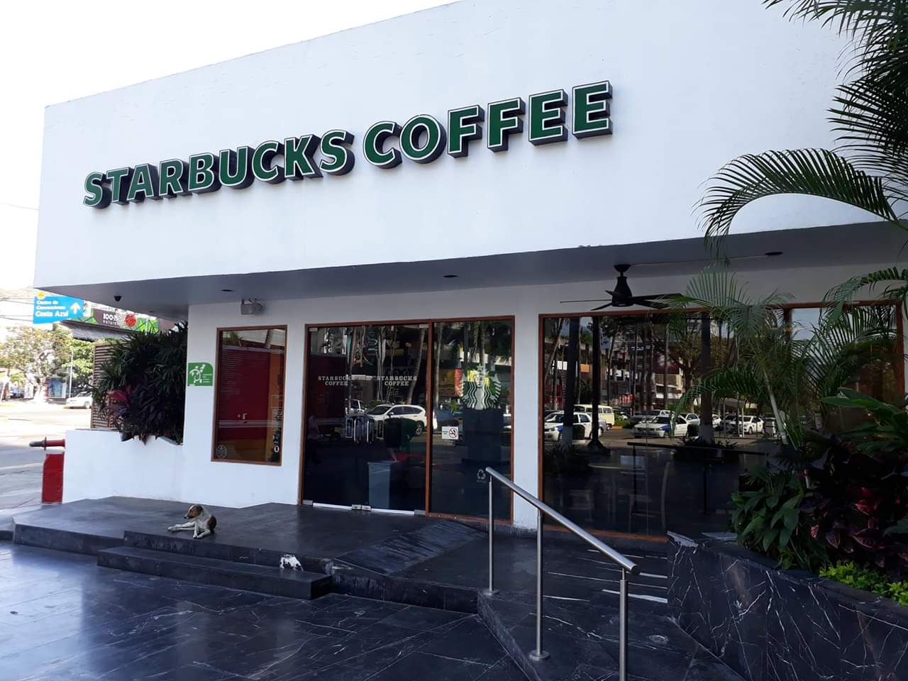 STARBUCKS CONDESA CERRÓ POR REMODELACIÓN NO POR EXTORSIÓN