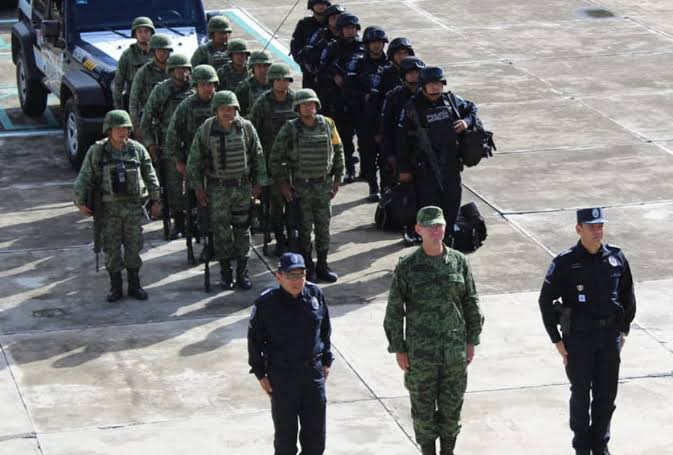 GUARDIA NACIONAL O SEGURIDAD CIUDADANA