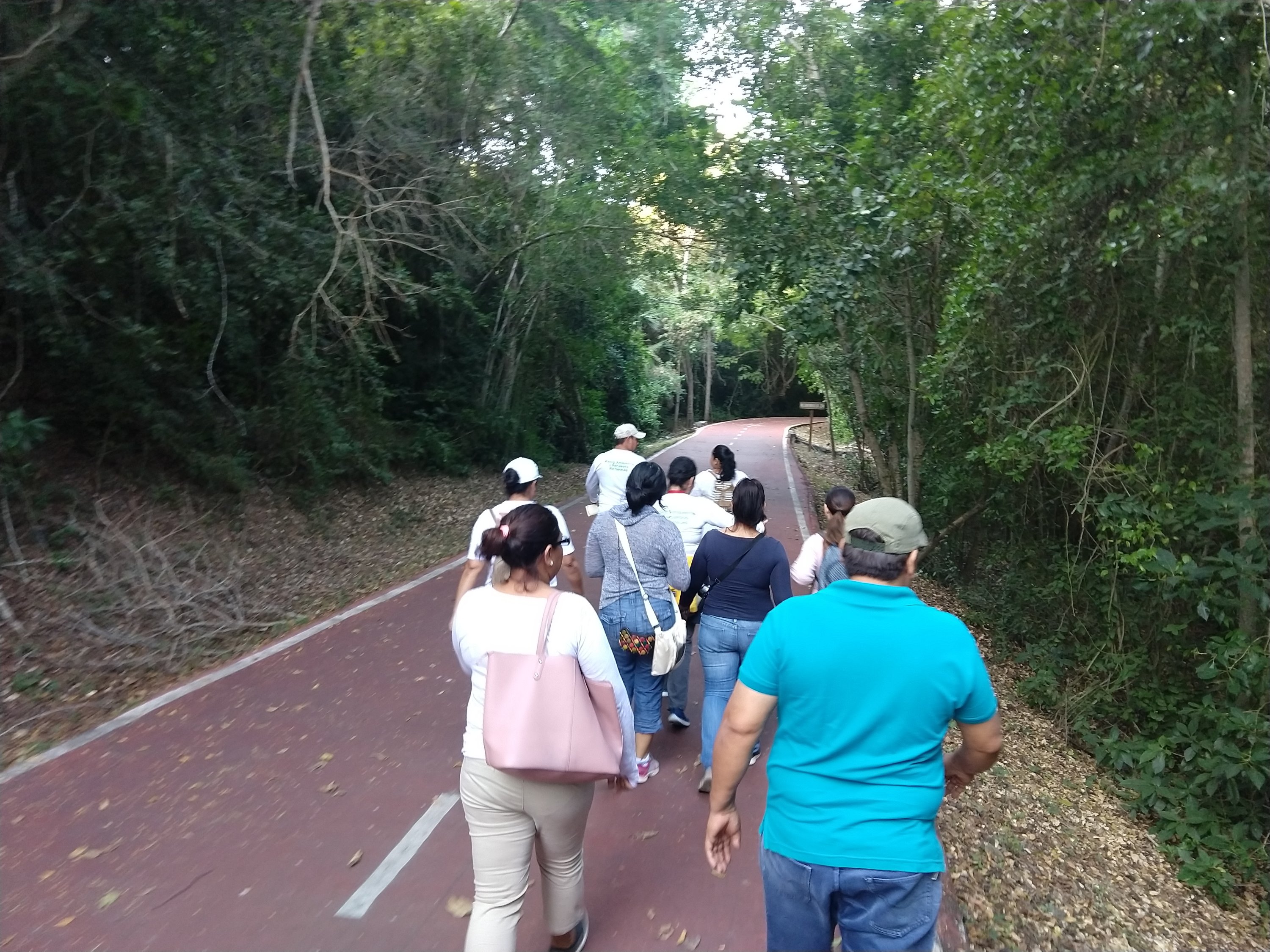 NECESARIO PROMOVER AVISTAMIENTO DE AVES EN ZIHUATANEJO