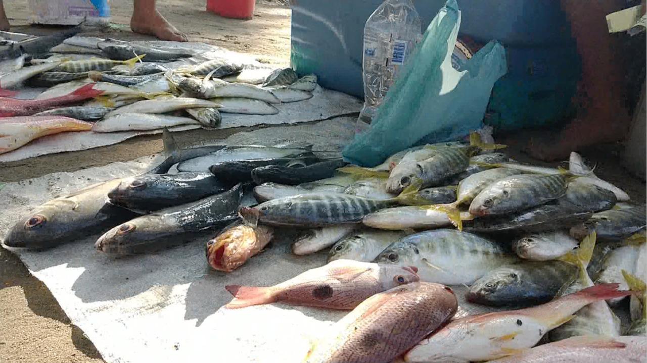 ELEVADO PRECIO DEL PESCADO ANTE AUSENCIA DE PROFECO 