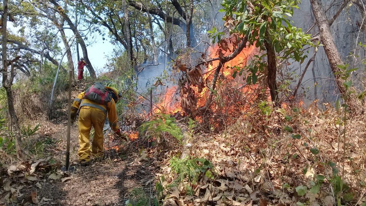 HAY 29 INCENDIOS ACTIVOS EN GUERRERO: PC ESTATAL