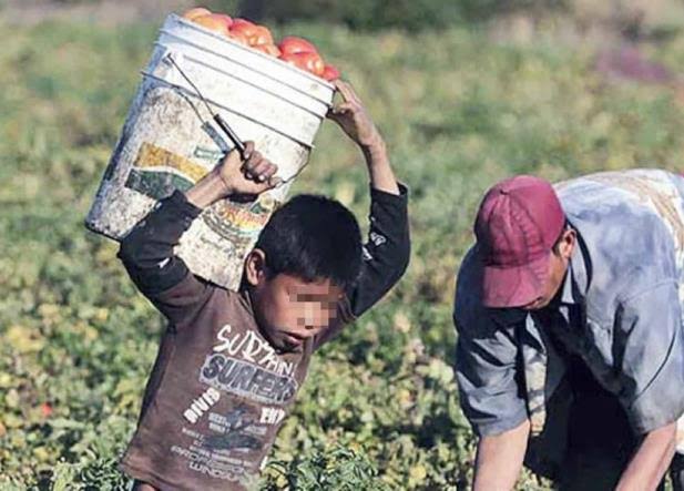 GUERRERO VA POR LA ERRADICACIÓN DEL TRABAJO INFANTIL GUERRERO VA POR LA ERRADICACIÓN DEL TRABAJO INFANTIL
