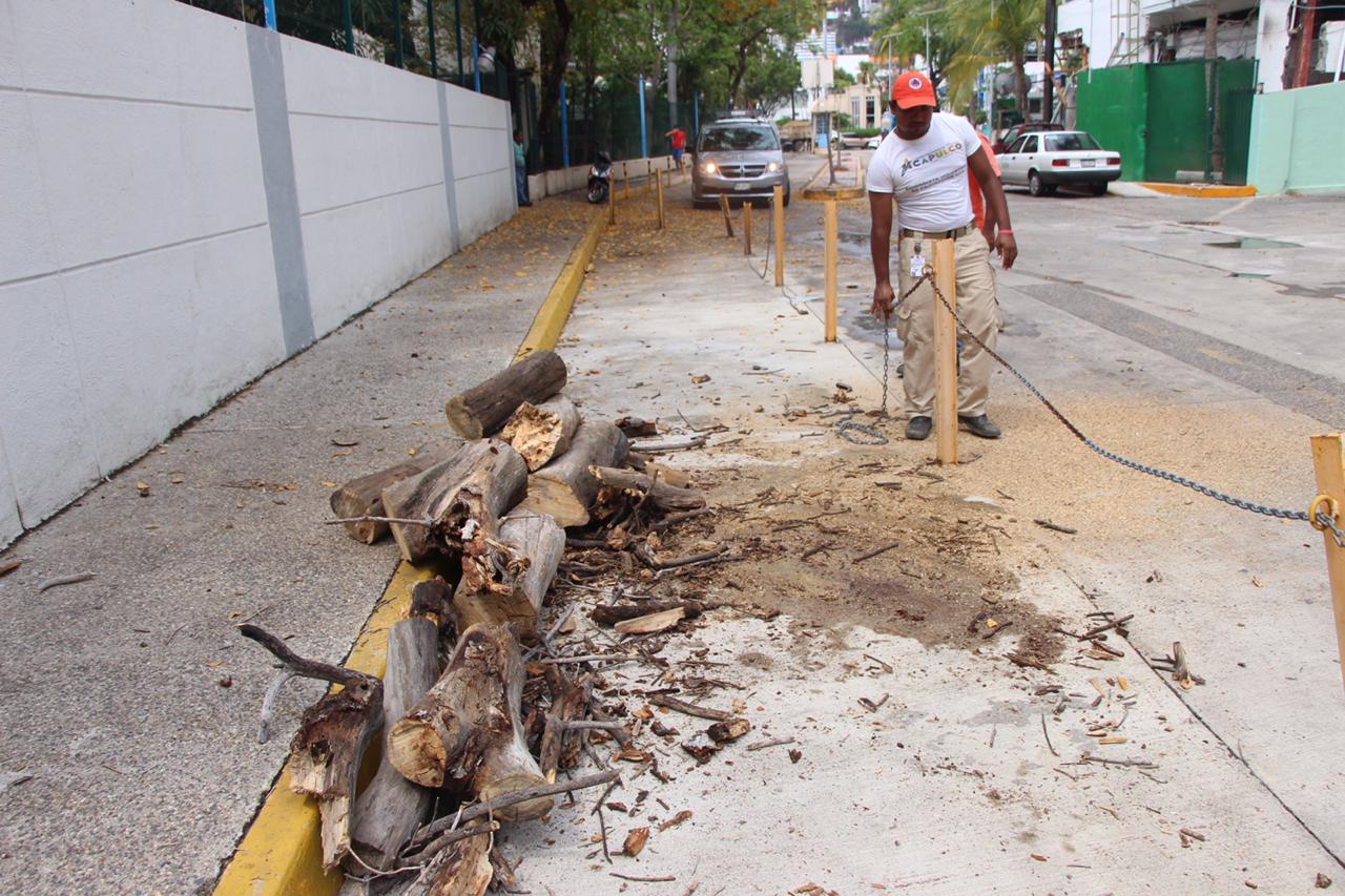 NO HAY DAÑOS EN ACAPULCO POR SISMO DE 4.9 GRADOS RICHTER