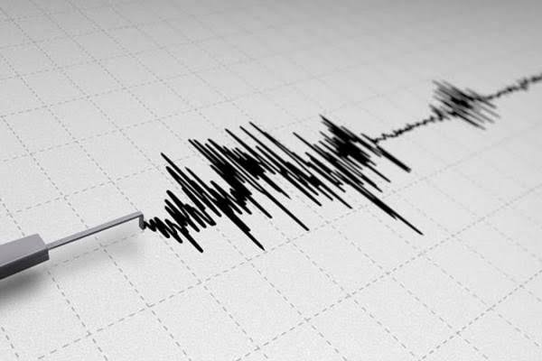 SISMO DE 4.7 NO DEJA DAÑOS EN GUERRERO