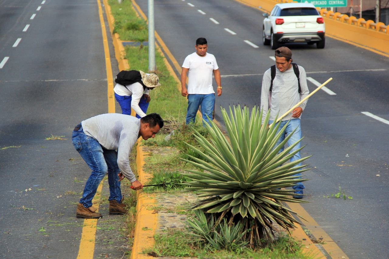 INTENSIFICAN LIMPIEZA Y REMOZAMIENTO EN CAMELLONES DE AVENIDAS PRINCIPALES