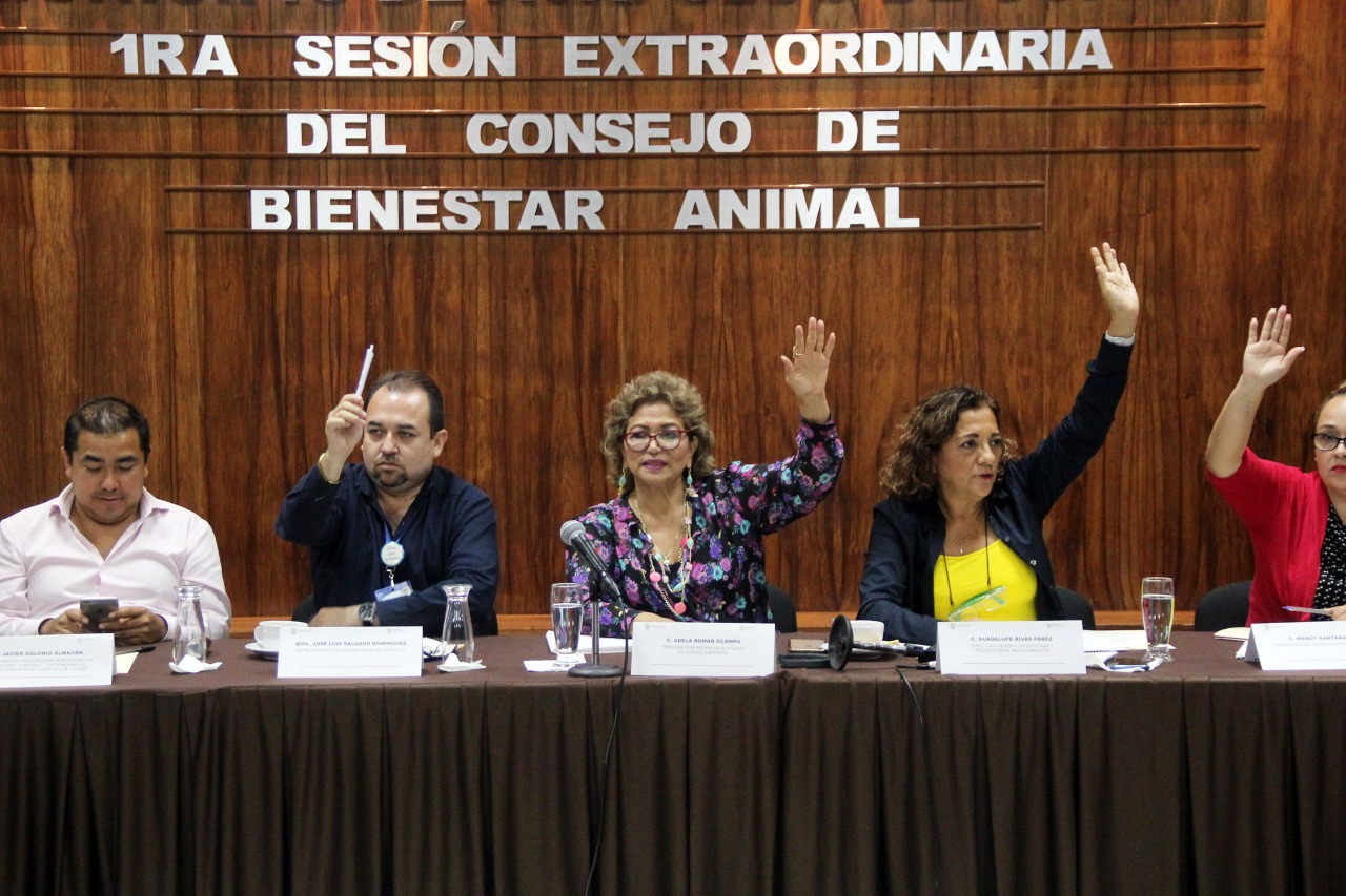 APRUEBA CONSEJO MUNICIPAL RETIRAR CABALLOS DE LAS CALANDRIAS