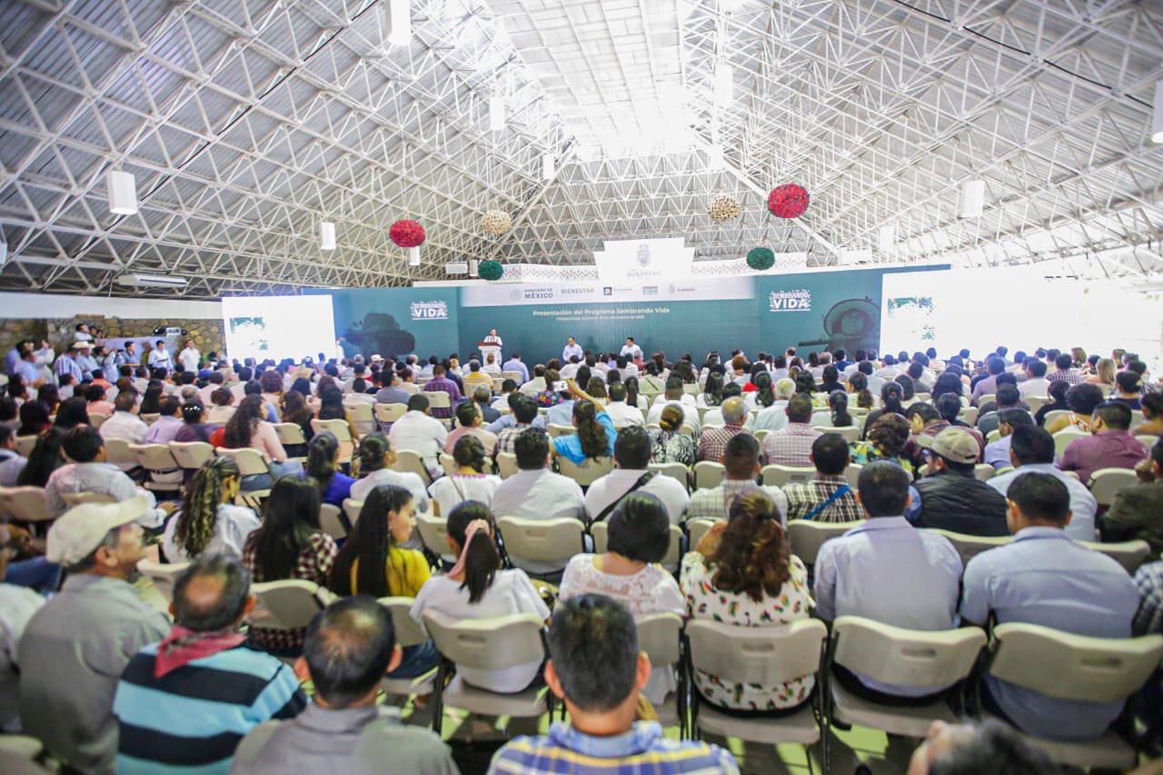 Astudillo encabeza la  presentación del programa “Sembrando vida”