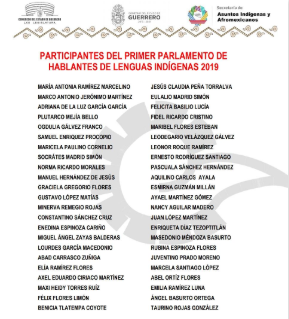 PARTICIPANTES DEL PRIMER PARLAMENTO DE HABLANTES DE LENGUAS INDÍGENAS 2019