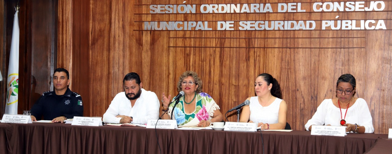 Aprueban por unanimidad programa de Seguridad Pública Municipal 2019