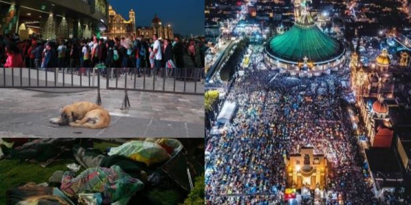 Llegan 9.8 millones de peregrinos a la Basílica de Guadalupe
