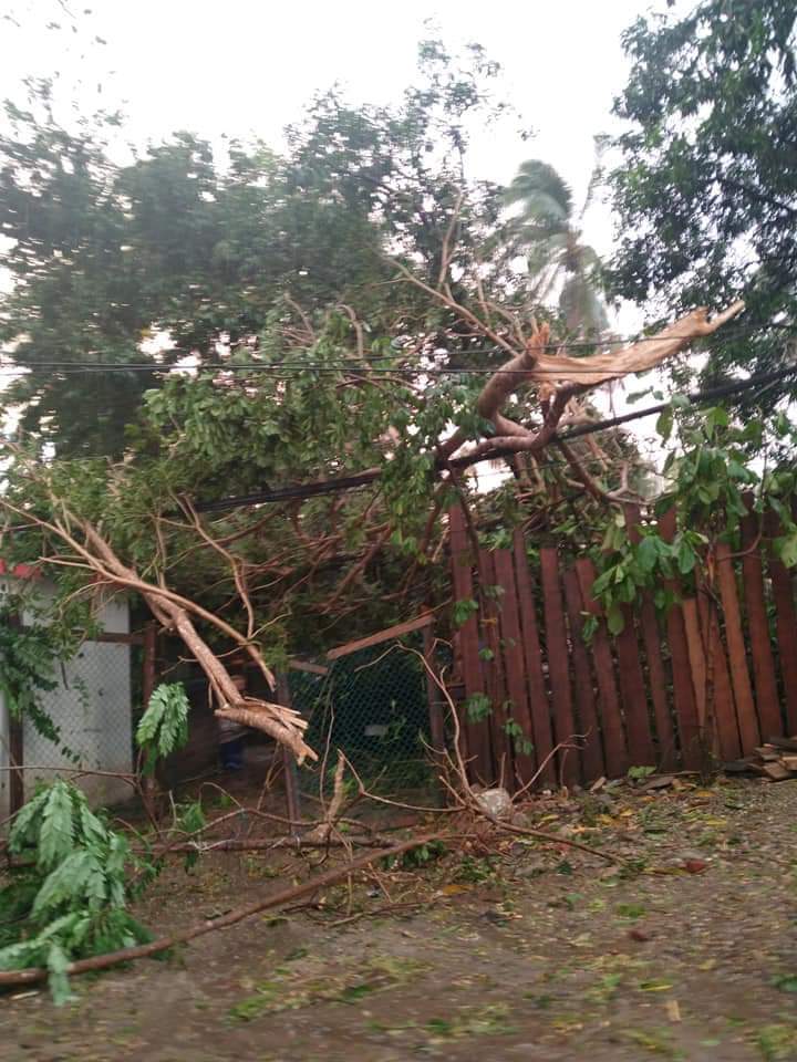 Viviendas dañadas y árboles caídos deja tormenta y granizo en Tecpan