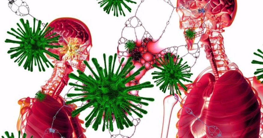 Coronavirus: Así infecta las células de los pulmones