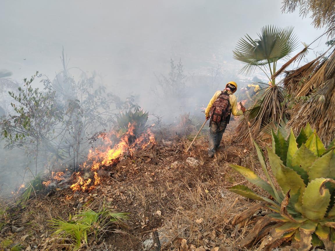 Controlado casi en su totalidad el incendio forestal de Chilpancingo: Semaren