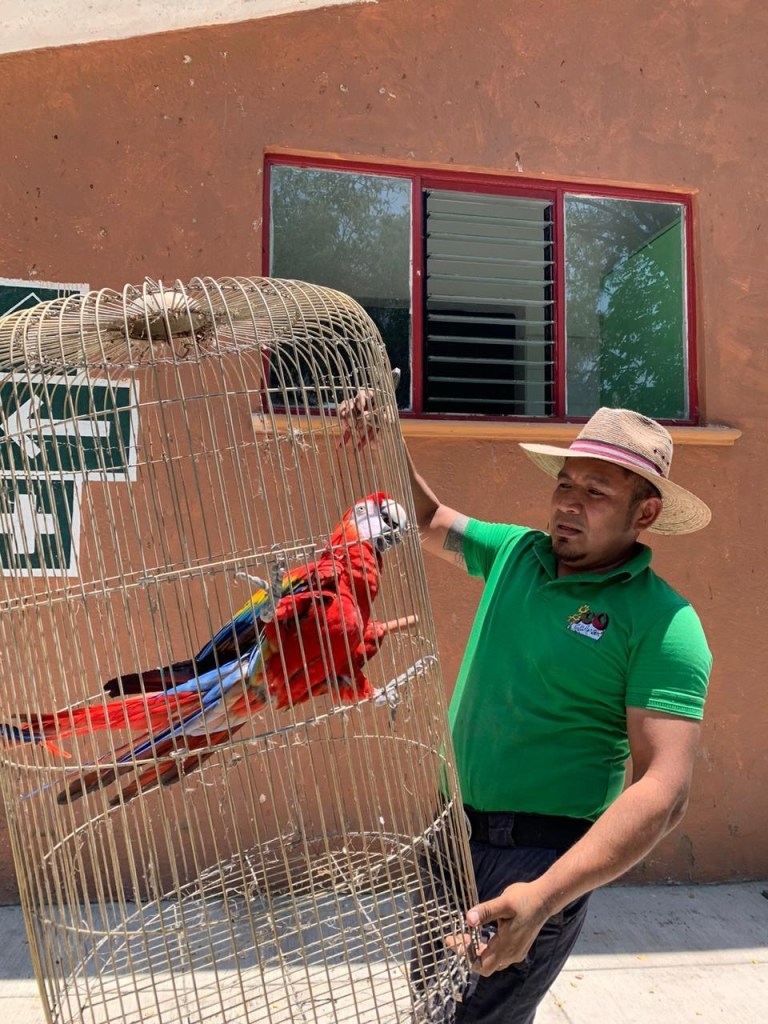 Por remodelación se queda  sin animales el Parque Papagayo de Acapulco