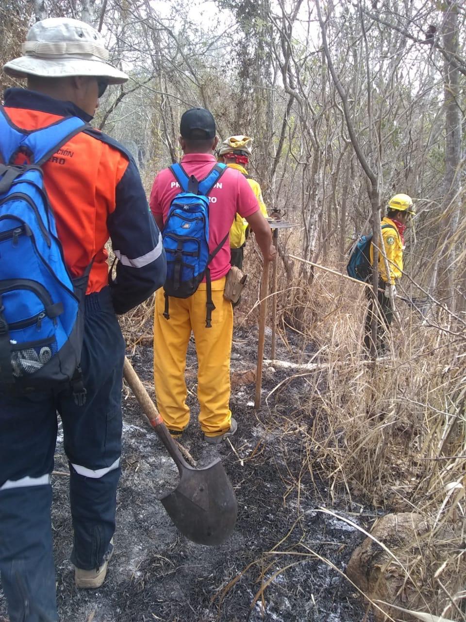 Controlan el incendio en el parque El Veladero, Acapulco