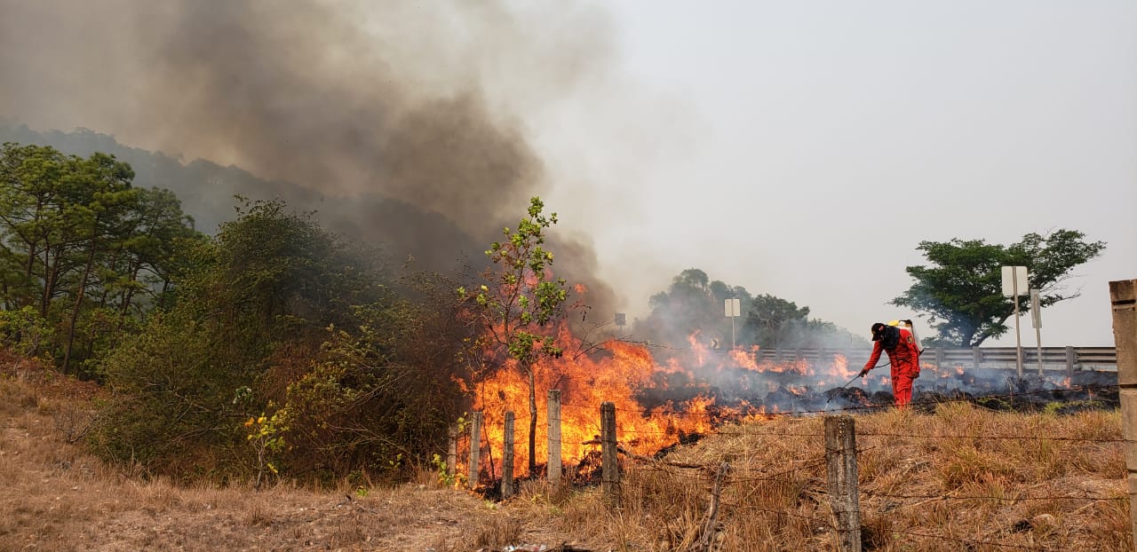 Sube a 12 incendios activos en Guerrero