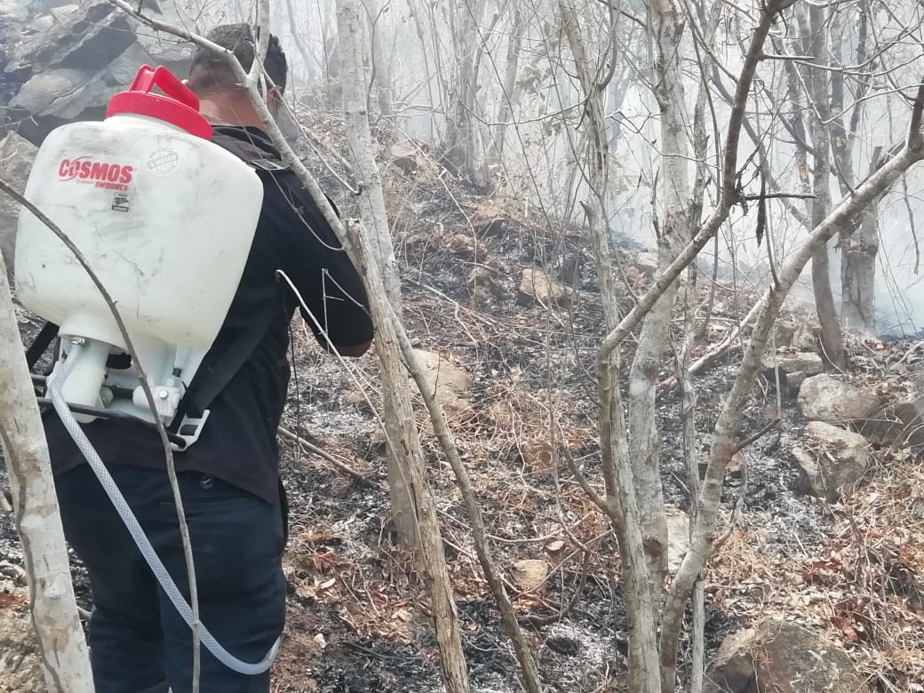 Dos incendios forestales afectan a Acapulco; uno en el parque nacional El Veladero