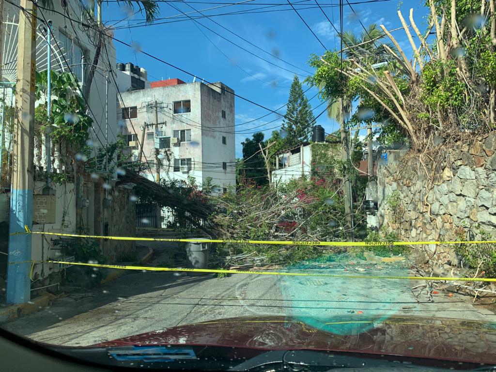 Sólo árboles caídos, un flamazo y apagones, ocasionó la lluvia