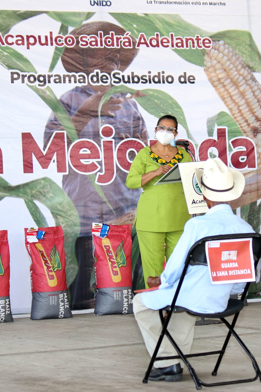 Beneficia a subsidio de semilla mejorada a 426 campesinos en Acapulco