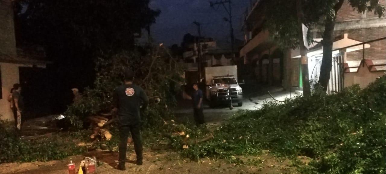 Daños menores dejó lluvia de ayer en Acapulco