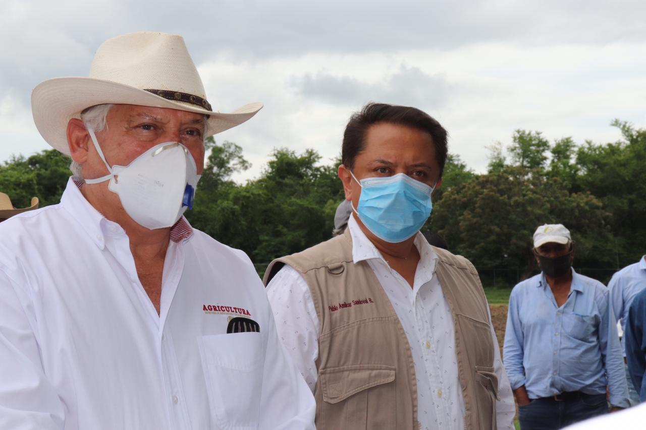 Garantizada la seguridad alimentaria para este año en Guerrero: Pablo Amílcar Sandoval