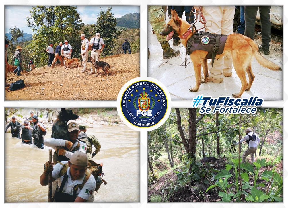 FGE mantiene operativo de búsqueda de 3 personas desaparecidas en Cochoapa el Grande