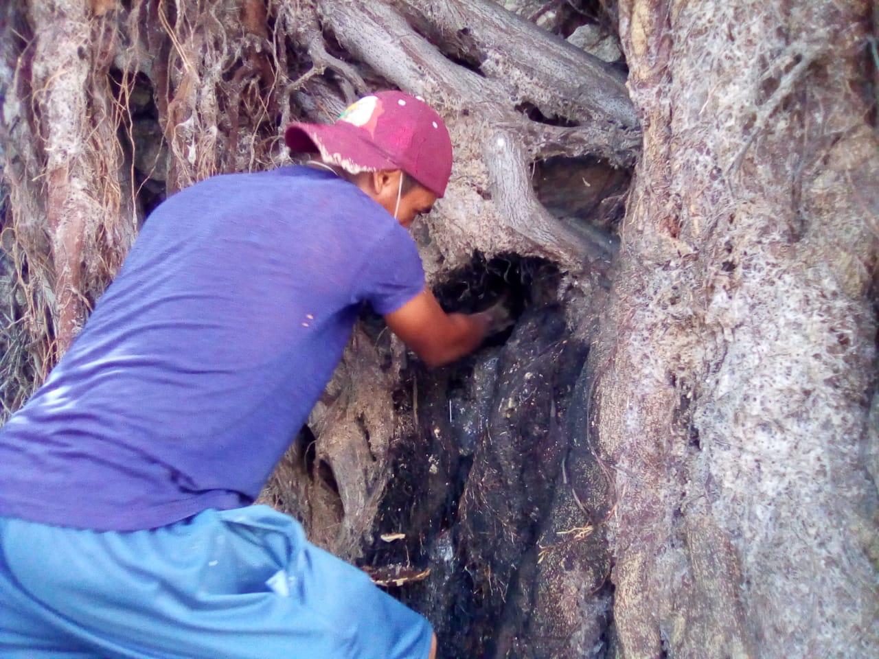 Cancela Capama tres descargas clandestinas en canal pluvial de Icacos