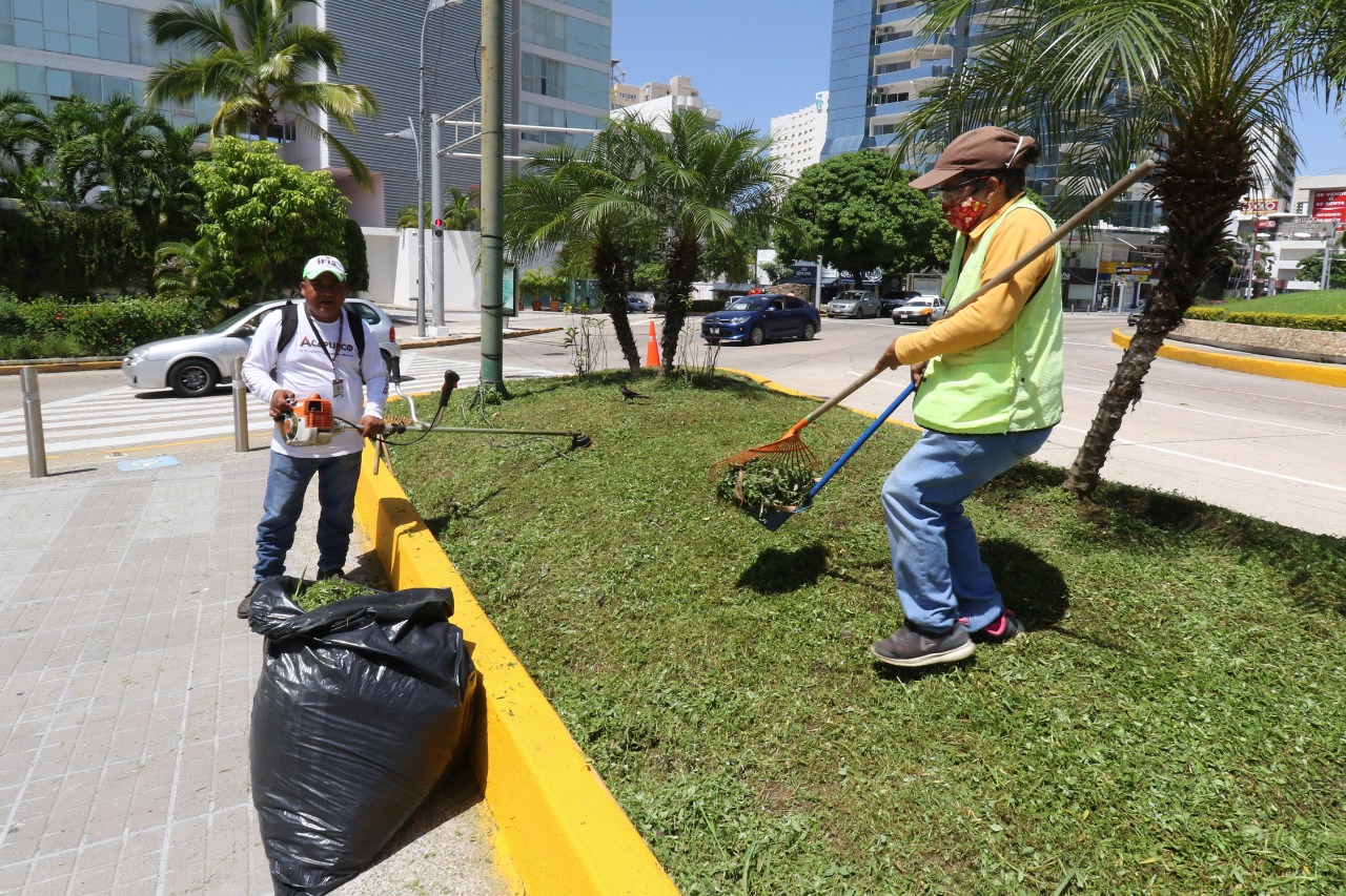 Rehabilita Servicios Públicos camellón de Costera Miguel Alemán