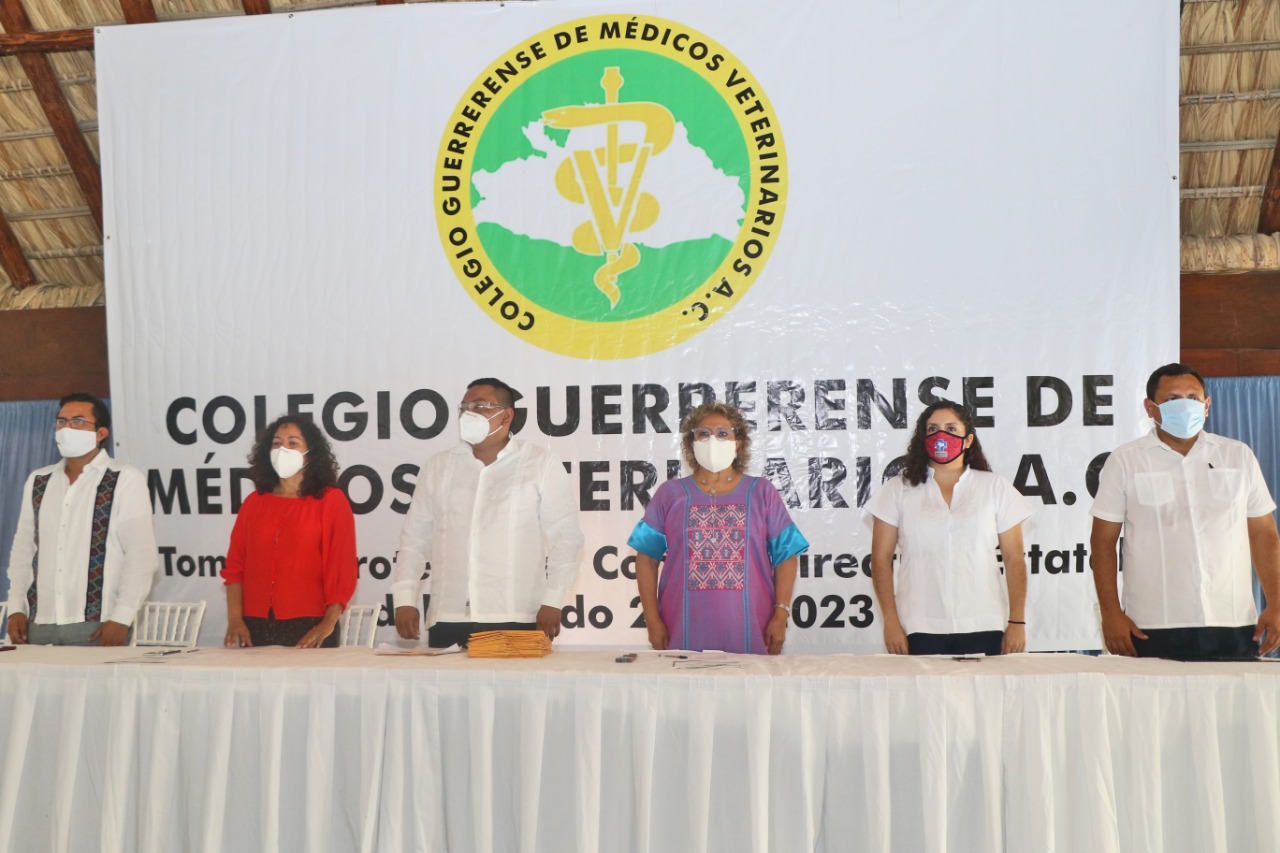 Guerrero requiere profesionistas comprometidos con su desarrollo: Adela Román