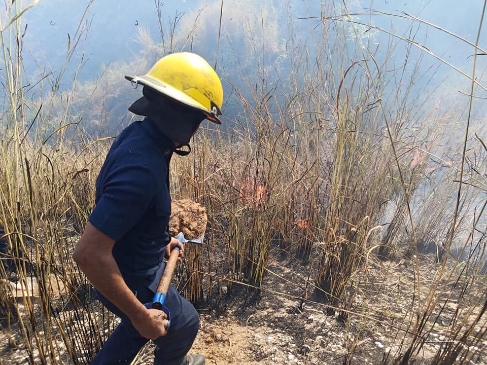 Sofocan Bomberos de Acapulco 4 incendios de pastizales