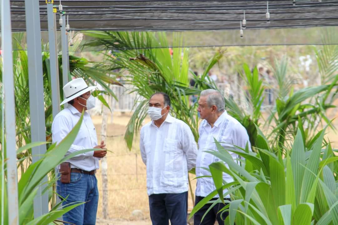 Guerrero es prioridad para el gobierno federal: AMLO