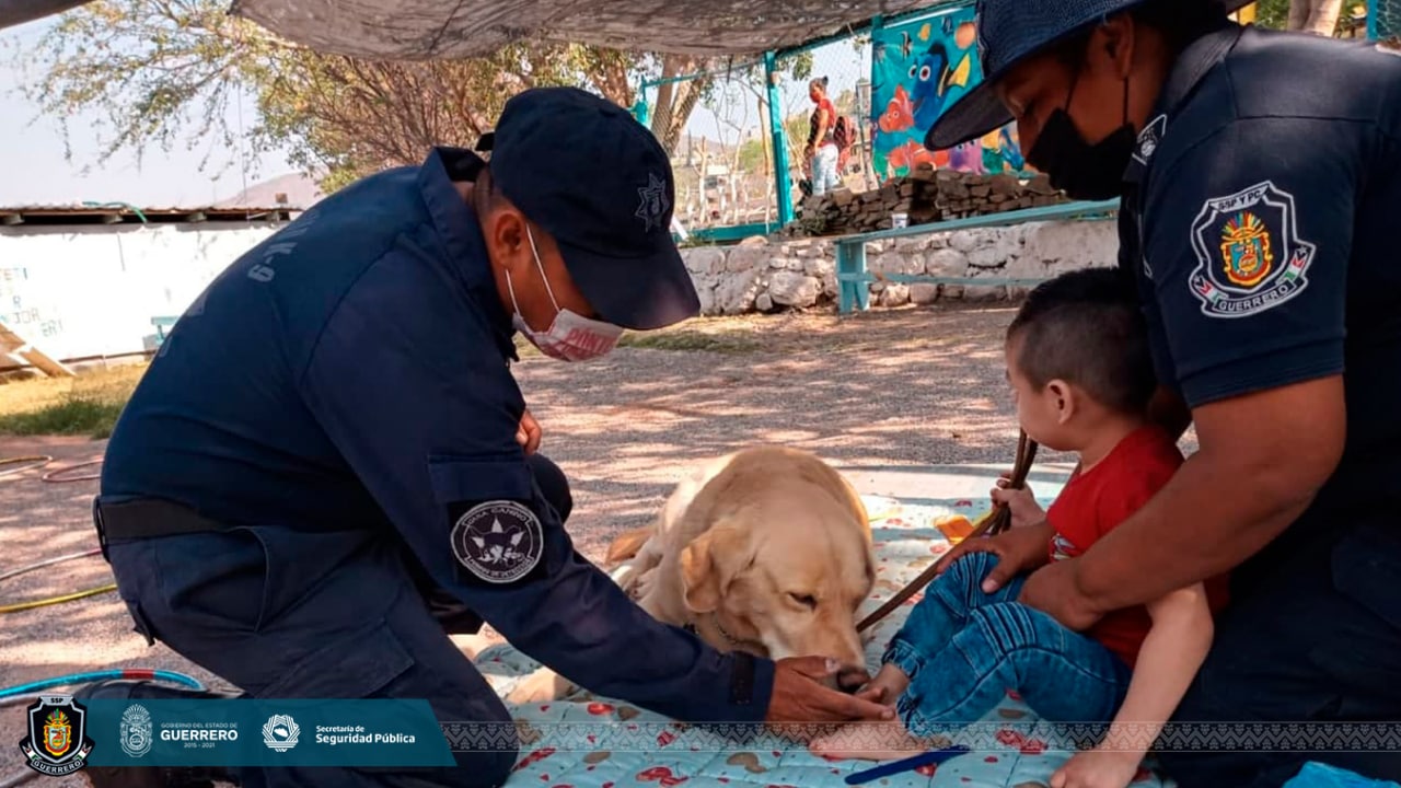 Gobierno de Guerrero implementa zooterapias a niños