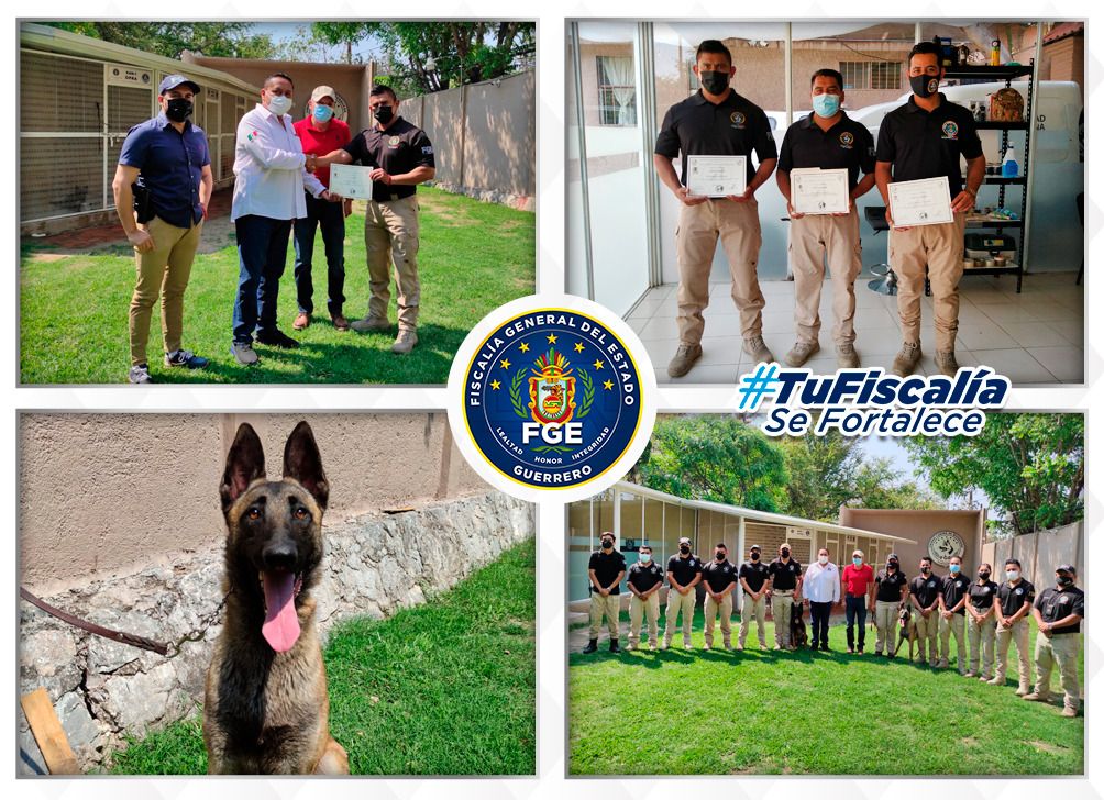 Se integran a la Unidad Canina de la Fiscalía de Guerrero, 2 canes pastor belga para búsqueda y detección de narcóticos