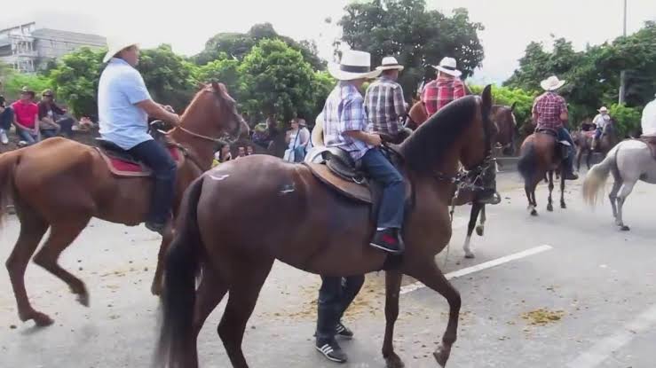 Acapulqueños en contra de realización de la Octava Cabalgada Turística 2021