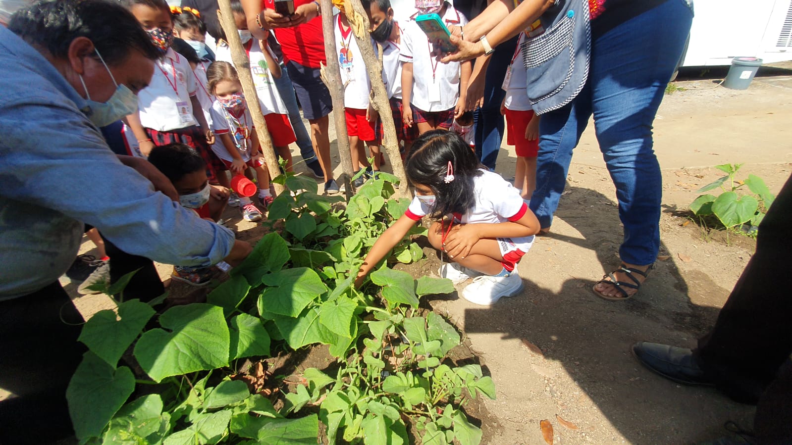 Fomenta DIF cultivo de huertos urbanos